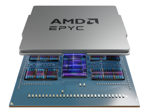 AMD写真